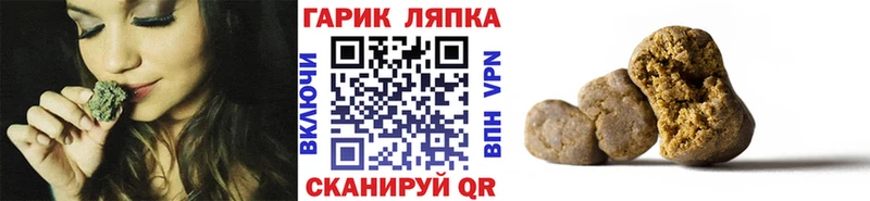 ГАШ Premium  mega сайт  Кедровый 