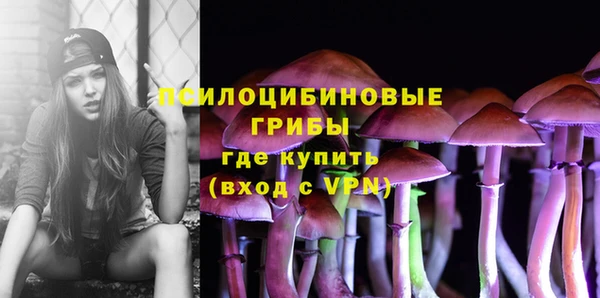Альфа ПВП Абаза