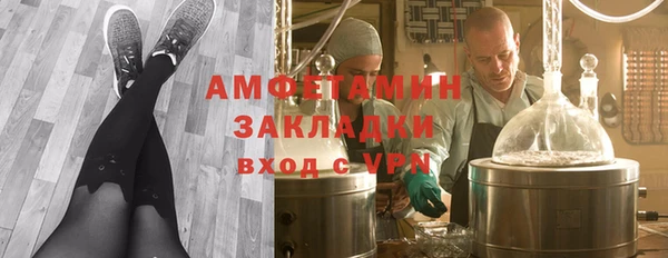 стаф Алзамай